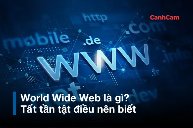 World Wide Web là gì? Tất tần tật điều nên biết World Wide Web là gì? Tất tần tật điều nên biết