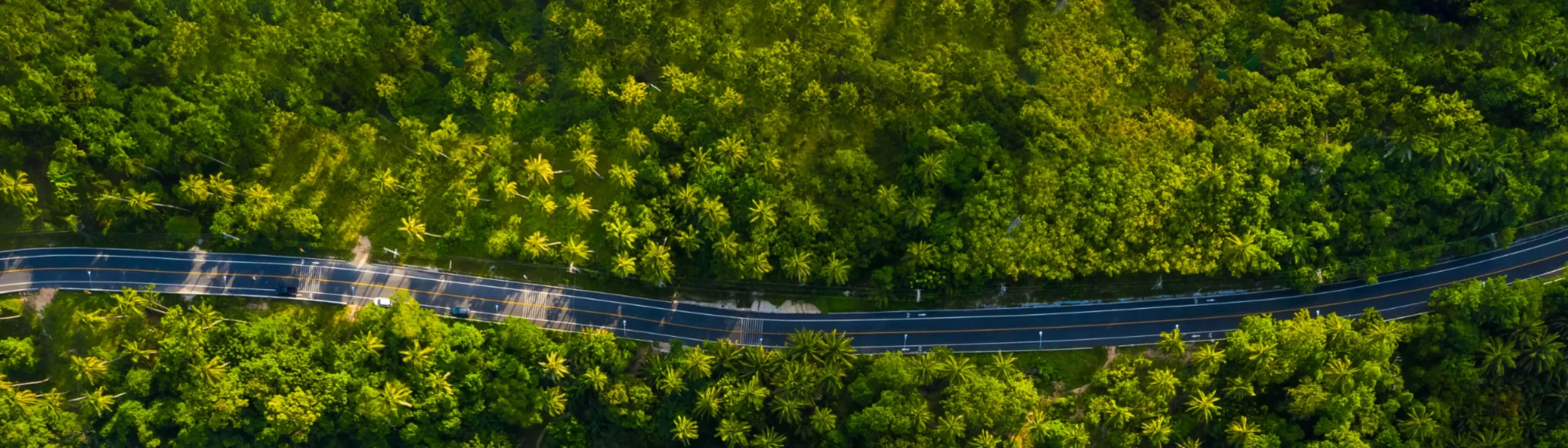 Hãy theo dõi chúng tôi trên hành trình thiết kế web