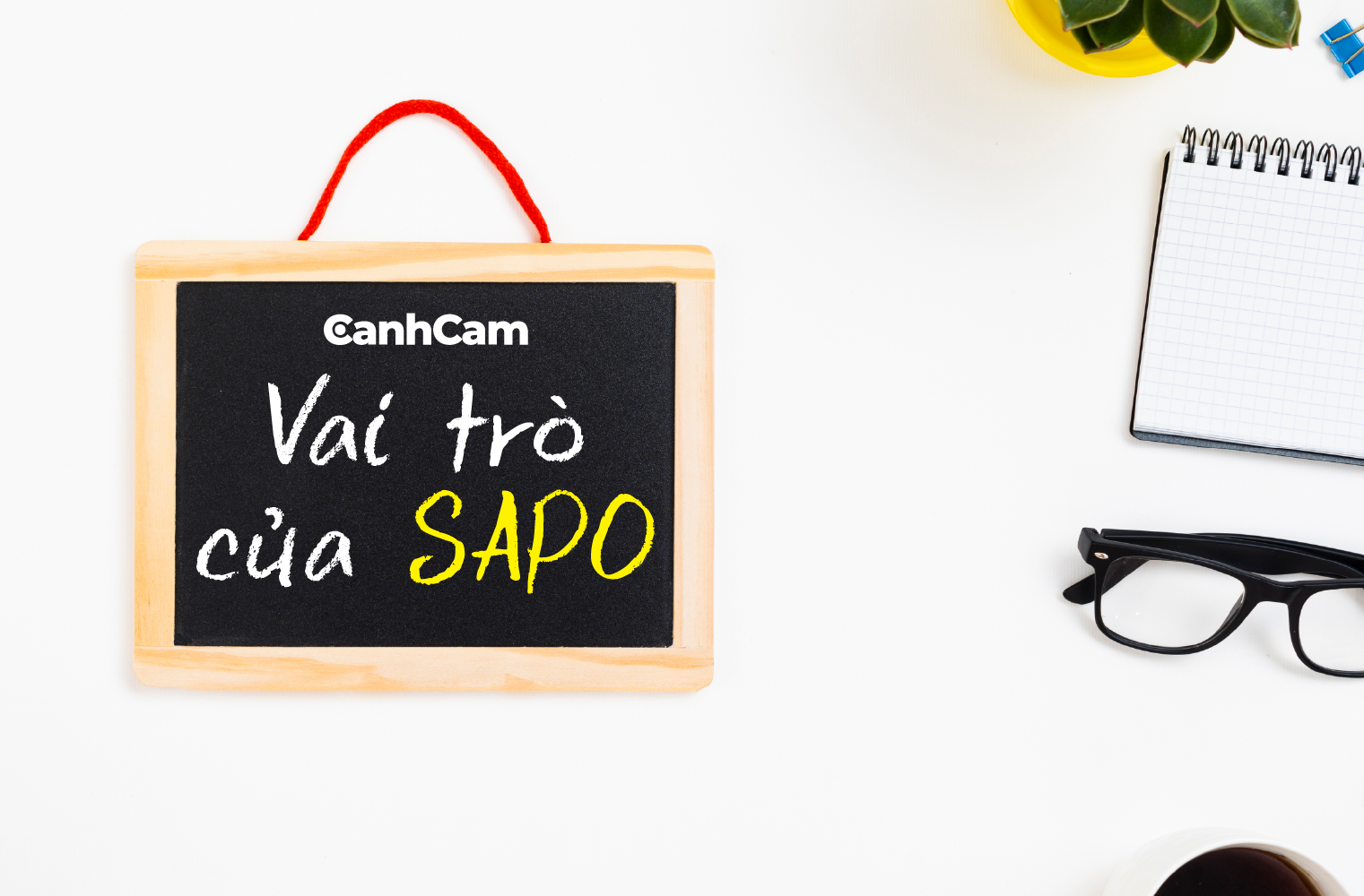 Vai trò của Sapo trong website