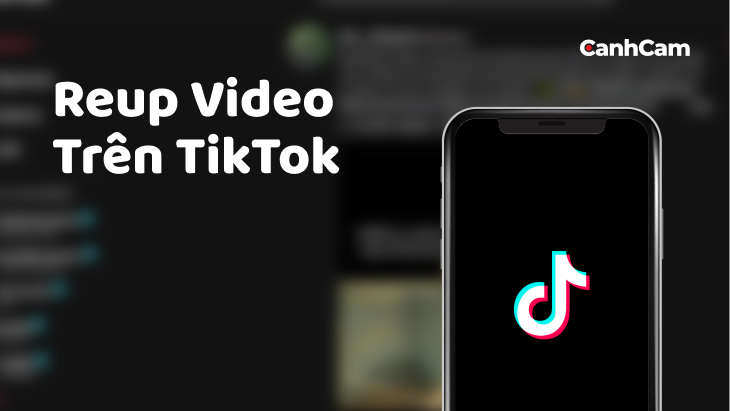 Reup video trên TikTok