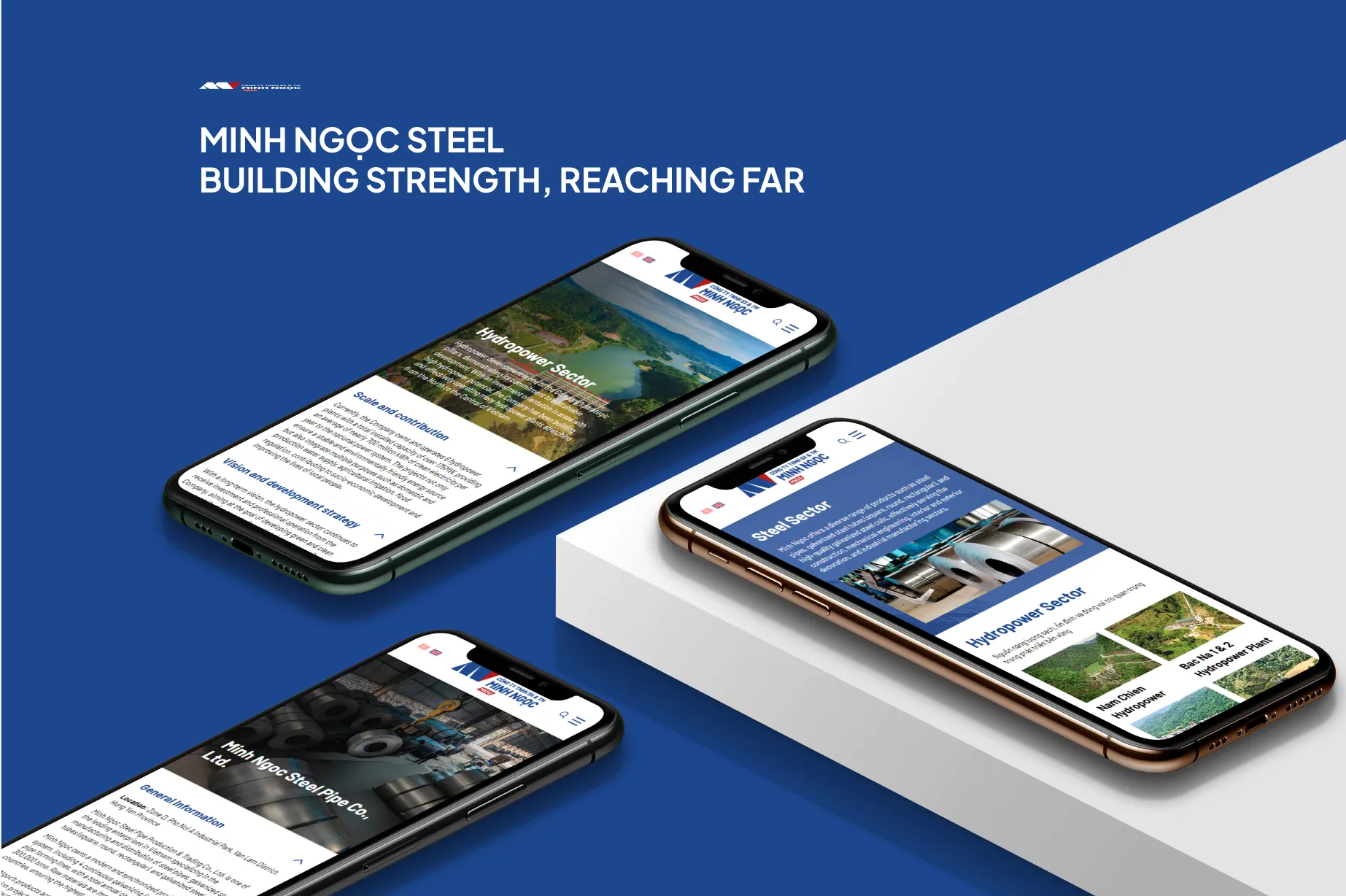 Minh Ngoc Steel