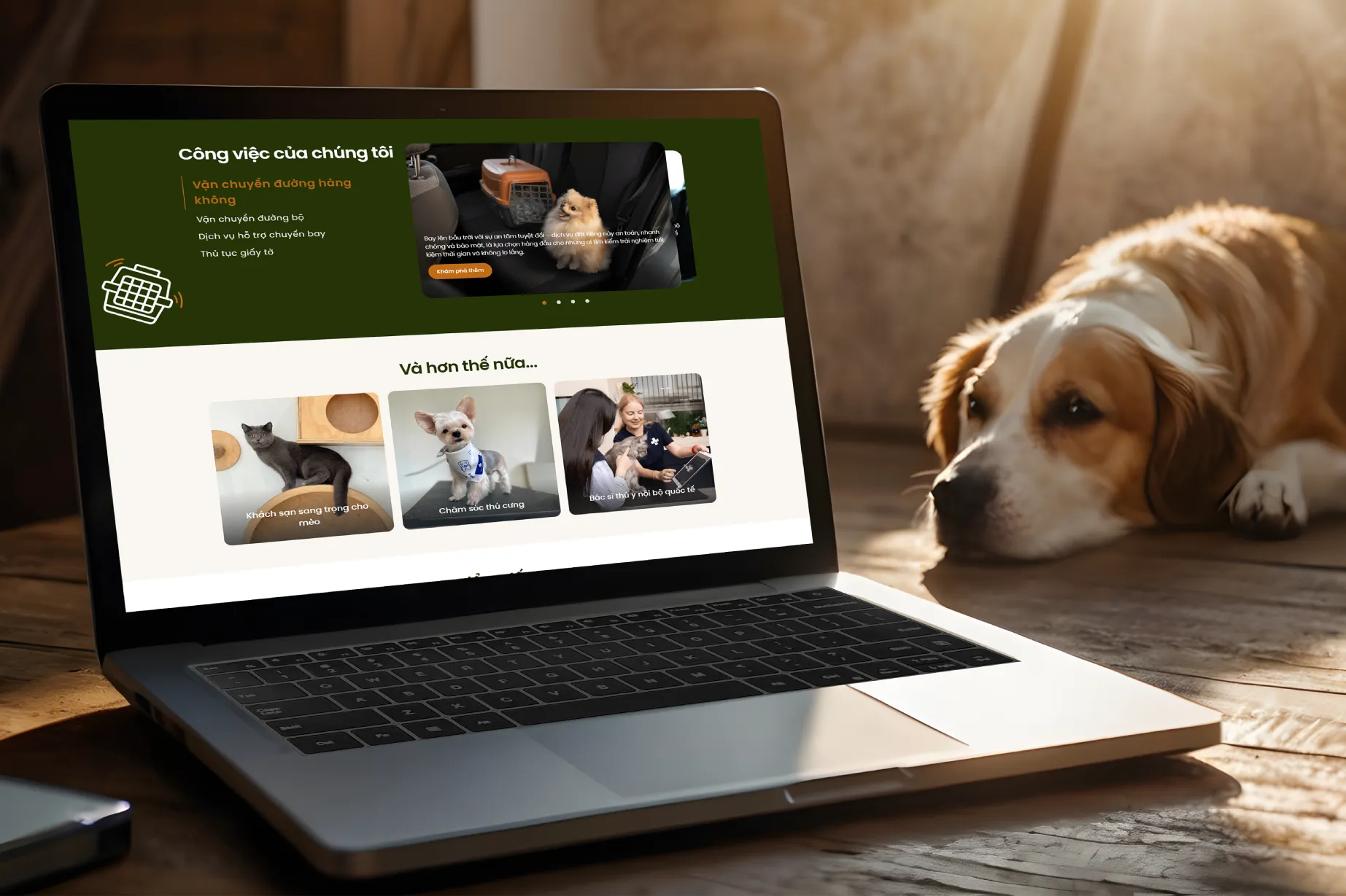 Cánh Cam - Web Design Agency uy tín chuyên nghiệp TPHCM Cánh Cam - Web Design Agency uy tín chuyên nghiệp TPHCM