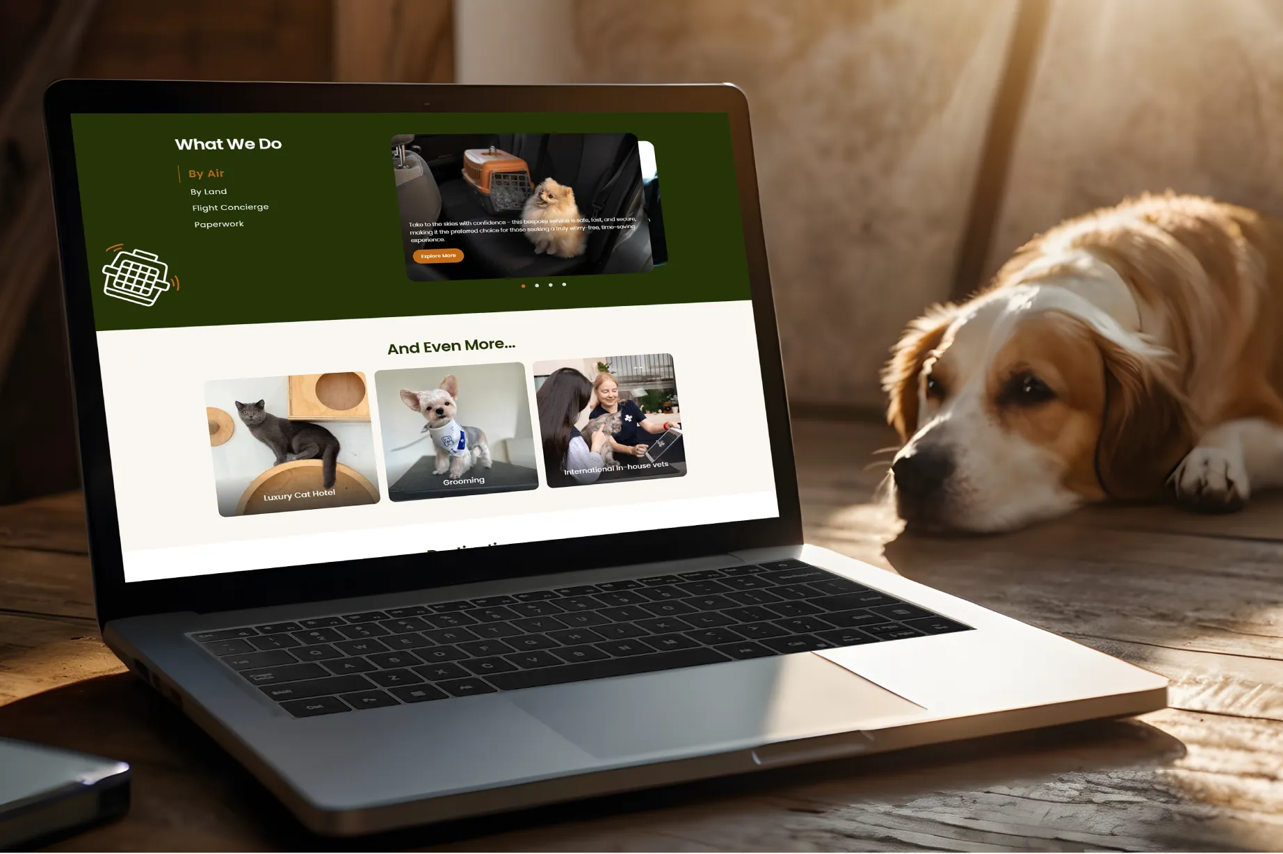 Cánh Cam - Web Design Agency uy tín chuyên nghiệp TPHCM