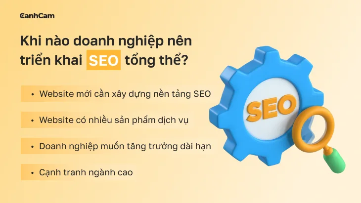 Khi nào doanh nghiệp nên triển khai SEO tổng thể