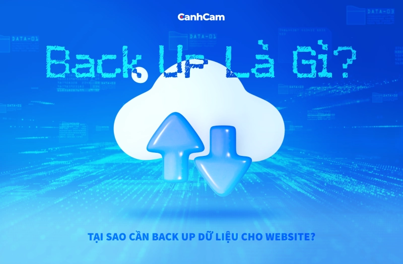 Back up là gì? Tại sao cần back up dữ liệu cho website?