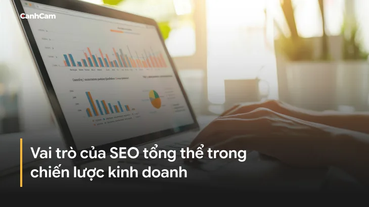 Vai trò của SEO tổng thể trong chiến lược kinh doanh