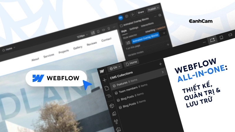 Webflow hoạt động như thế nào?