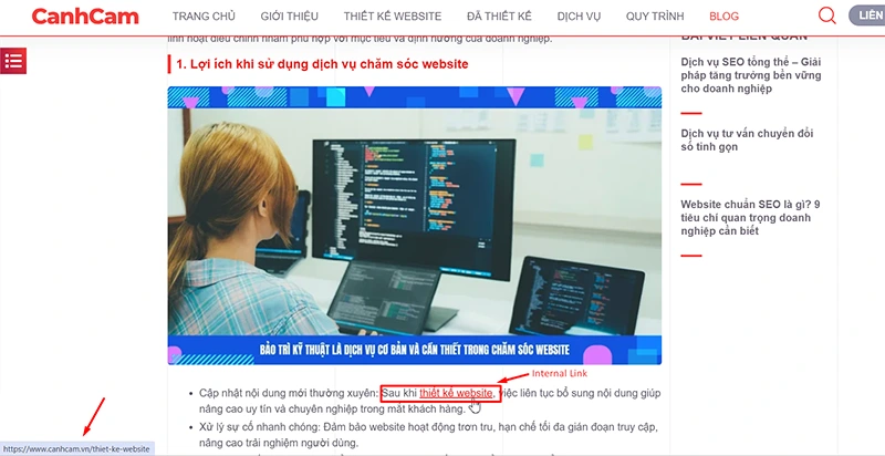 Ví dụ hệ thống internal link giúp giữ chân người dùng