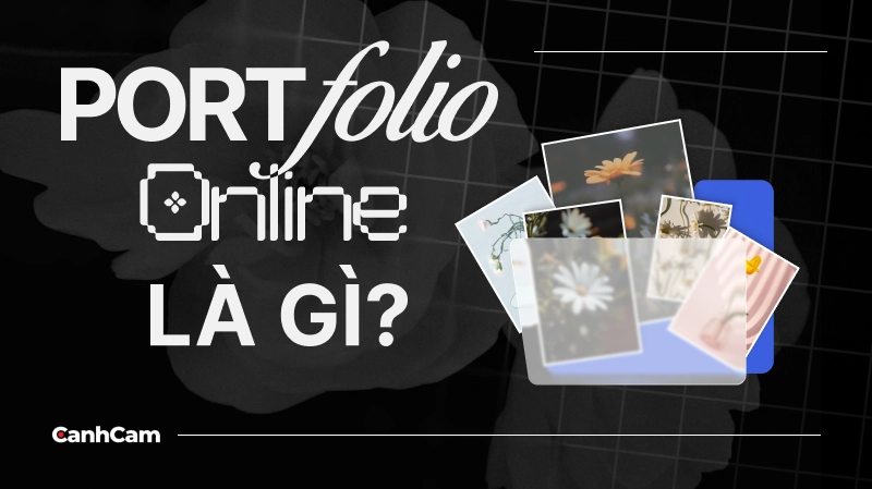 Định nghĩa Portfolio Online