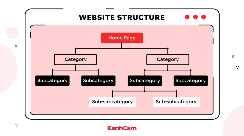 cấu trúc website