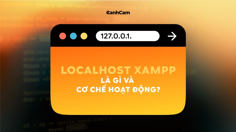 Localhost XAMPP Là Gì Và Cơ Chế Hoạt Động