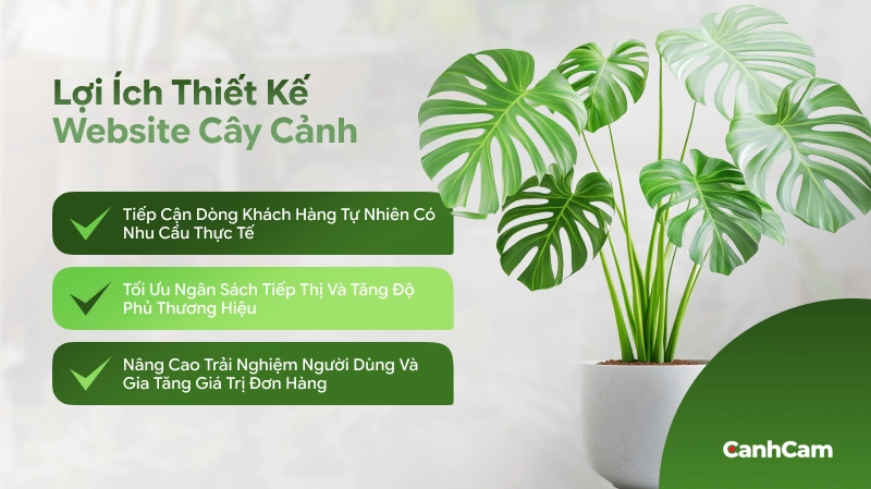 Lợi ích dài hạn khi đầu tư dịch vụ thiết kế website cây cảnh