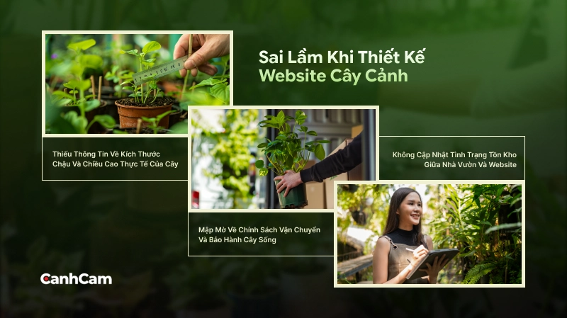 Sai lầm cần lưu ý khi vận hành và thiết kế web cây cảnh