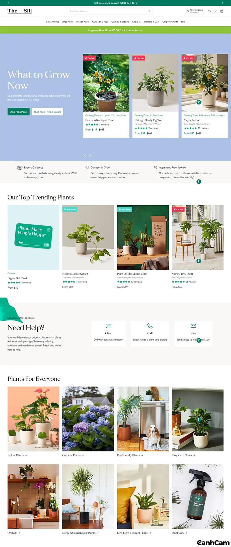 Thiết kế website cây cảnh theo phong cách Urban Jungle (Rừng trong thành phố)