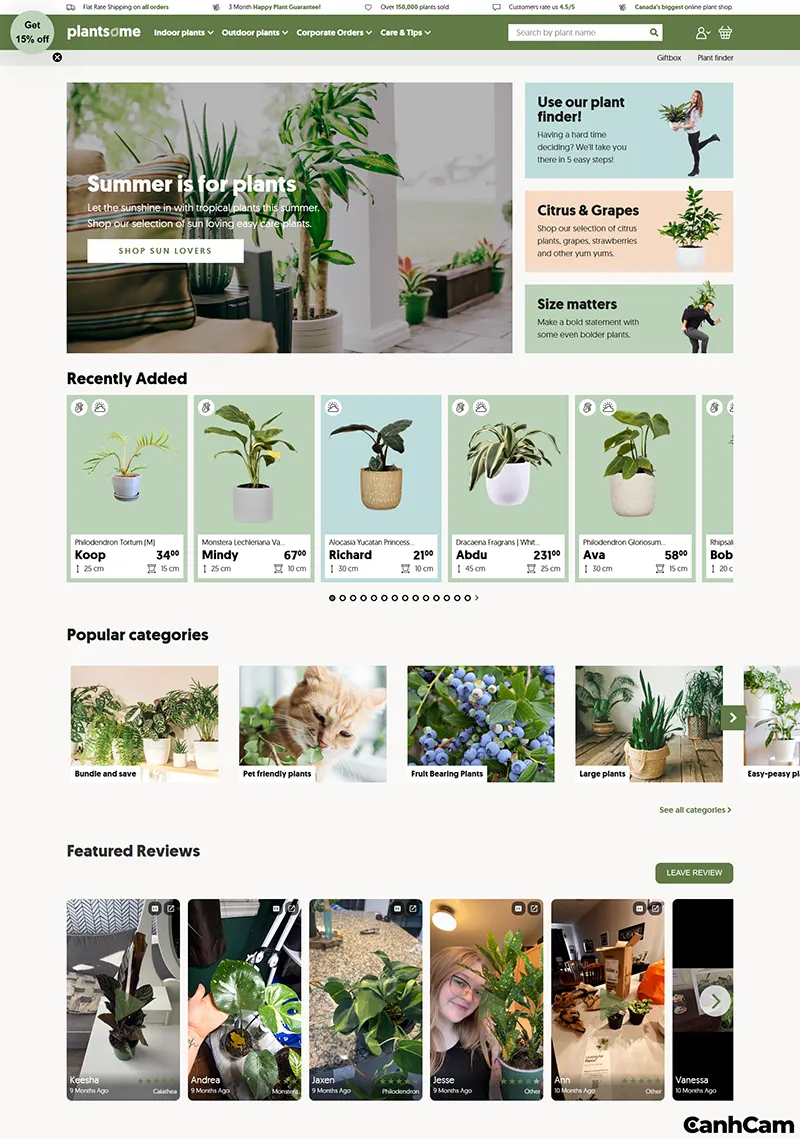 Thiết kế website cây cảnh theo phong cách Minimalist Botanical (Sinh thái tối giản)