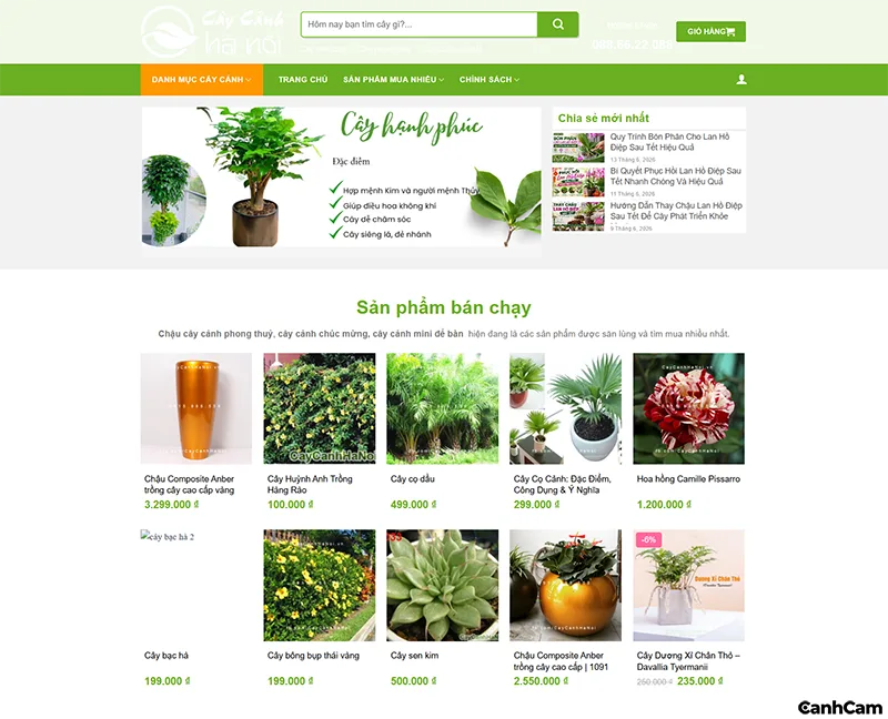 Thiết kế website cây cảnh theo phong cách Feng Shui & Traditional (Phong thủy & Truyền thống)