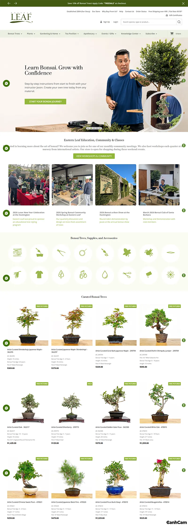 Thiết kế website theo phong cách Bonsai & Art Gallery (Nghệ thuật & Tinh tế)