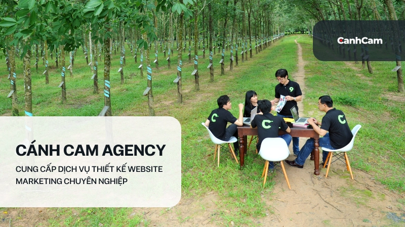 Thiết kế website dịch vụ marketing chuyên nghiệp tại Cánh Cam Agency
