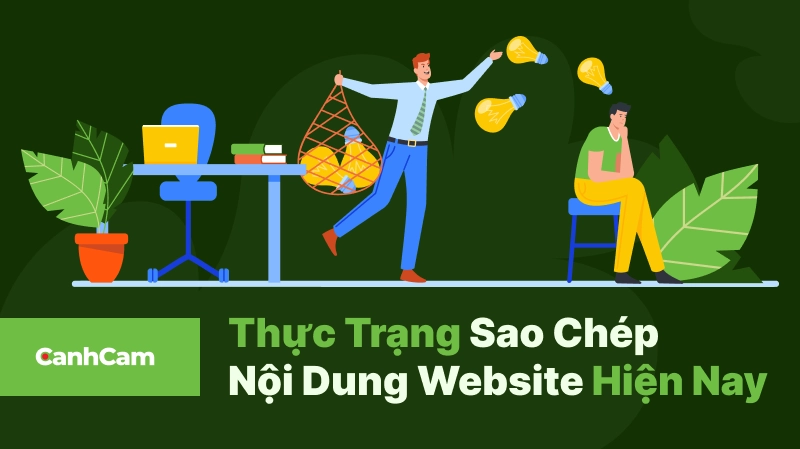 Thực trạng sao chép nội dung khi không được sự bảo hộ của DMCA