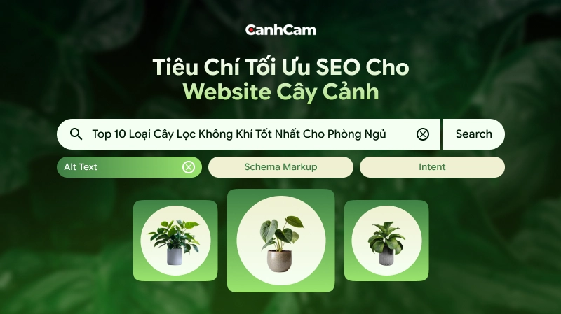Tiêu chí tối ưu SEO On-Page cho website cây cảnh