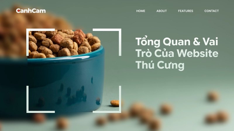 Tổng quan về thiết kế website thú cưng