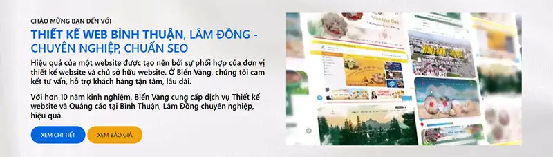 Thanh Sang MOS - Đơn vị công nghệ thiết kế website Lâm Đồng 