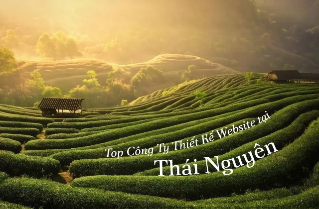 thiết kế website tại Thái Nguyên thumbnail