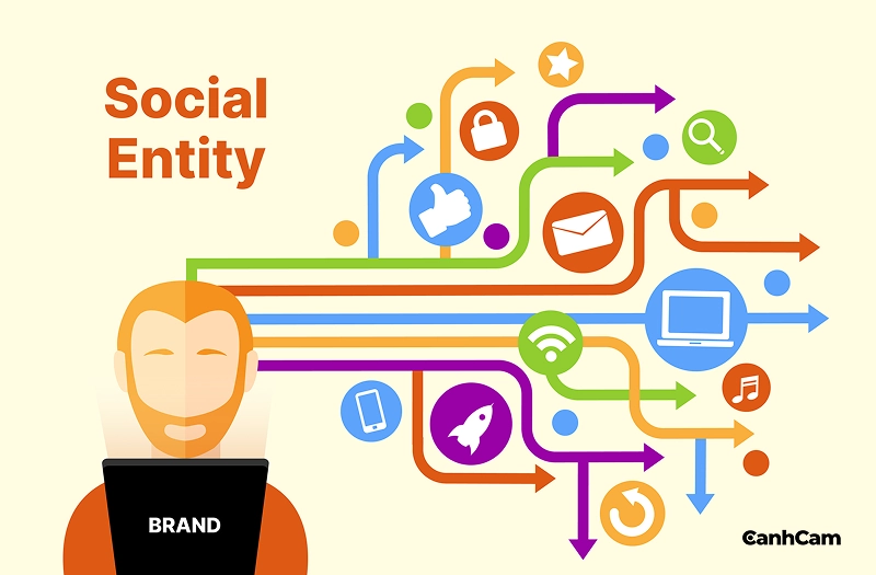Giới thiệu social entity là gì?