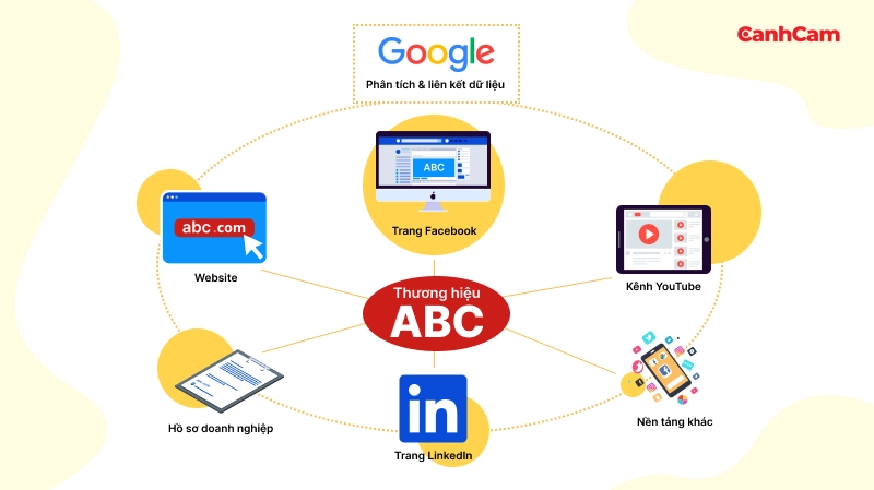 tìm hiểu cách hoạt động của Social Entity