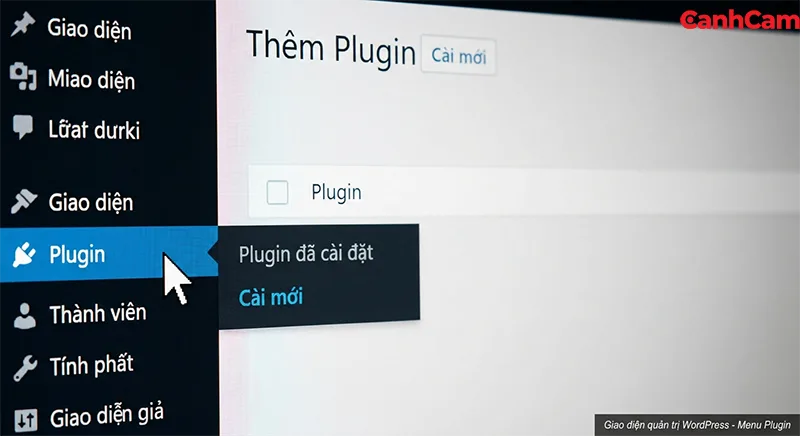 Truy cập vào mục plugin