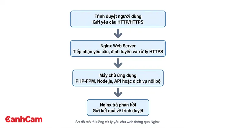 Sơ đồ mô tả luồng xử lý yêu cầu web thông qua Nginx.